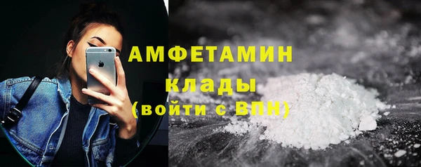 индика Переславль-Залесский