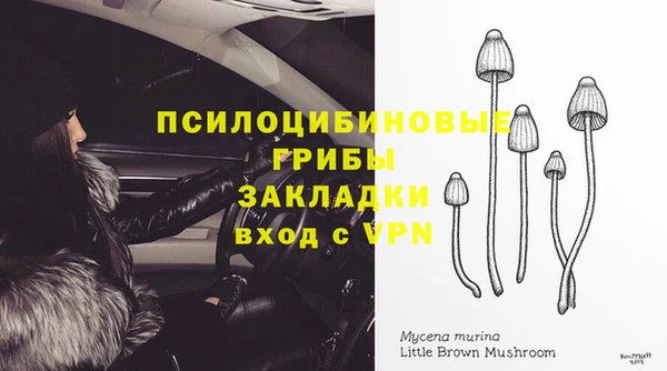 гидропоника Пестово