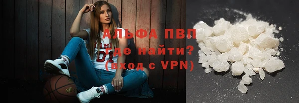 прущие крисы Гусев