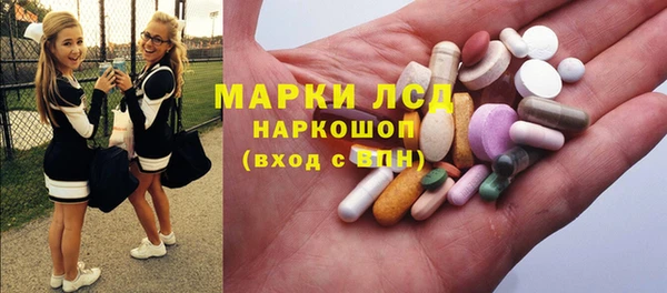 индика Переславль-Залесский