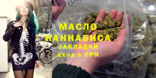 индика Переславль-Залесский