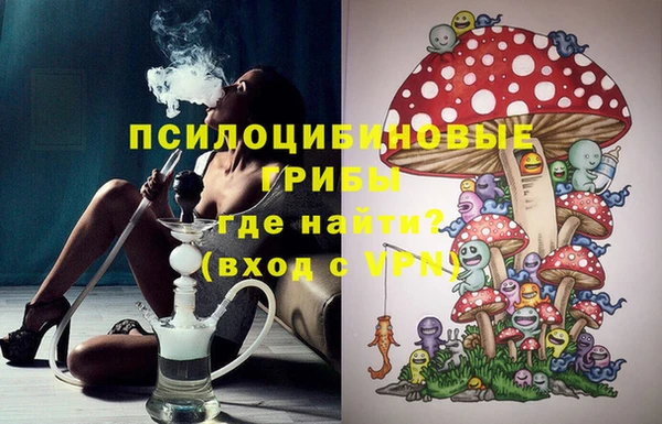 ешки Гусиноозёрск