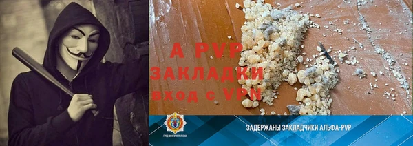 прущие крисы Гусев
