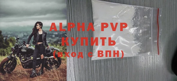 индика Переславль-Залесский