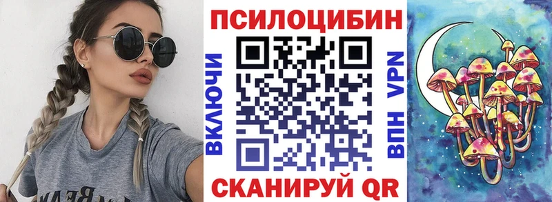 где продают   Нововоронеж  Галлюциногенные грибы Magic Shrooms 